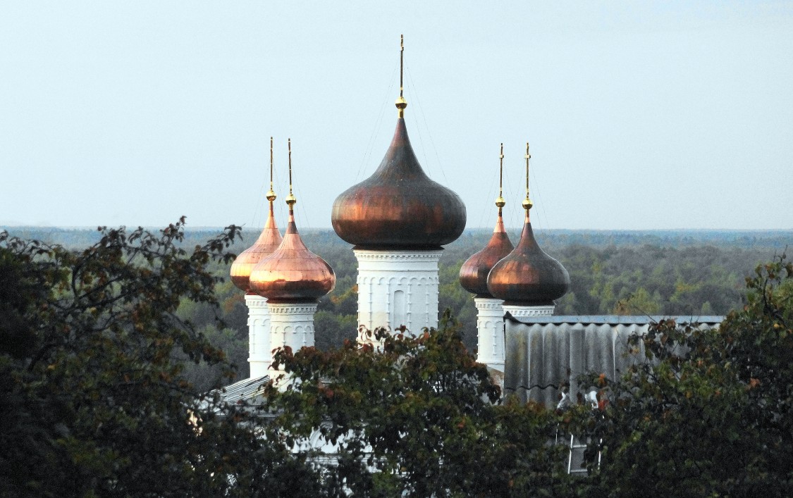Церковь Воскресения Христова, Гороховец (Гороховецкий район, Владимирская область). архитектурные детали, Луковицы глав