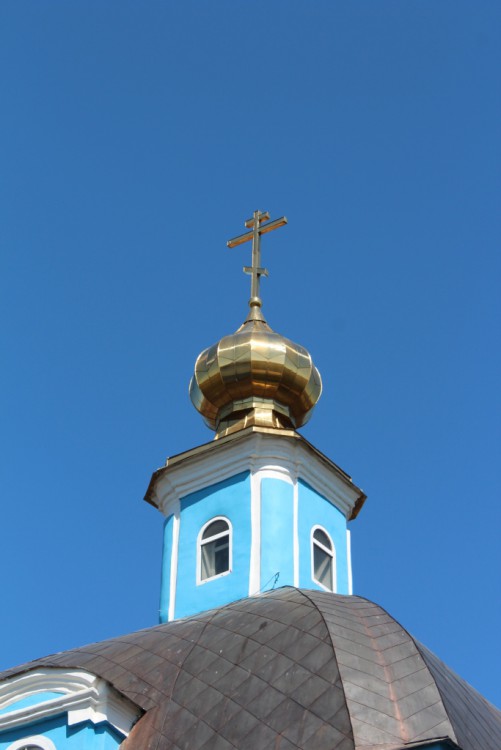 Богородицерождественская девичья пустынь. Церковь Рождества Пресвятой Богородицы, Барятино (Дзержинский район, Калужская область). архитектурные детали, Купол на четверике барабана
