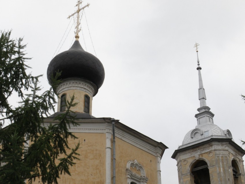 Вологда. Церковь Усекновения главы Иоанна Предтечи в Рощенье. архитектурные детали, Купола храма