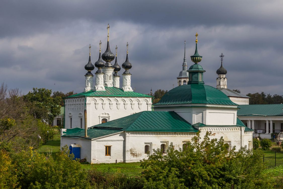 Храмовый комплекс. Церкви Николая Чудотворца и Входа Господня в Иерусалим, Суздаль (Суздальский район, Владимирская область). фасады, Вид с земляного вала кремля