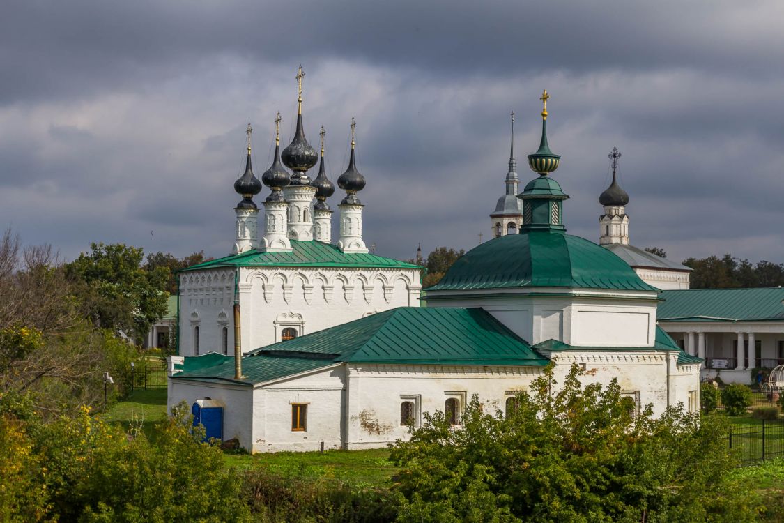 Суздаль. Храмовый комплекс. Церкви Николая Чудотворца и Входа Господня в Иерусалим. фасады, Вид с земляного вала кремля