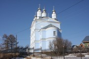Церковь Илии Пророка, , Верея, Наро-Фоминский городской округ, Московская область