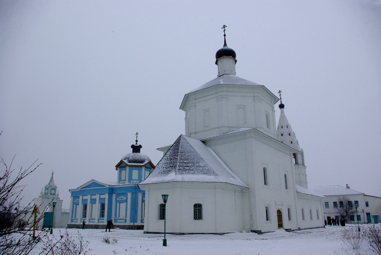 Бобренёв монастырь, Старое Бобренево (Коломенский городской округ, Московская область). архитектурные детали, Общий вид