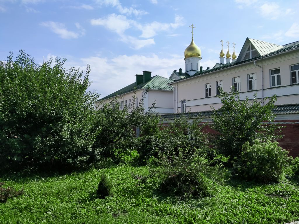 Богоявленский Старо-Голутвин монастырь, Коломна (Коломенский городской округ, Московская область). архитектурные детали