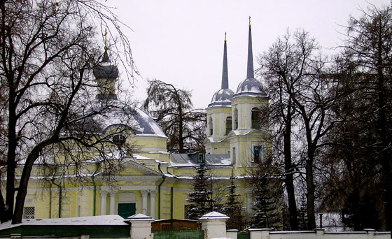 Церковь Троицы Живоначальной, Павлино (Балашихинский городской округ и г. Реутов, Московская область). общий вид в ландшафте, Троицкая церковь (1778 г.)