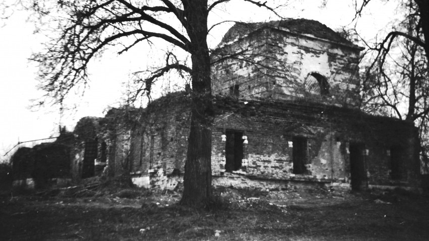 Церковь Михаила Архангела, Синьково (Раменский район и гг. Бронницы, Жуковский, Московская область). фасады