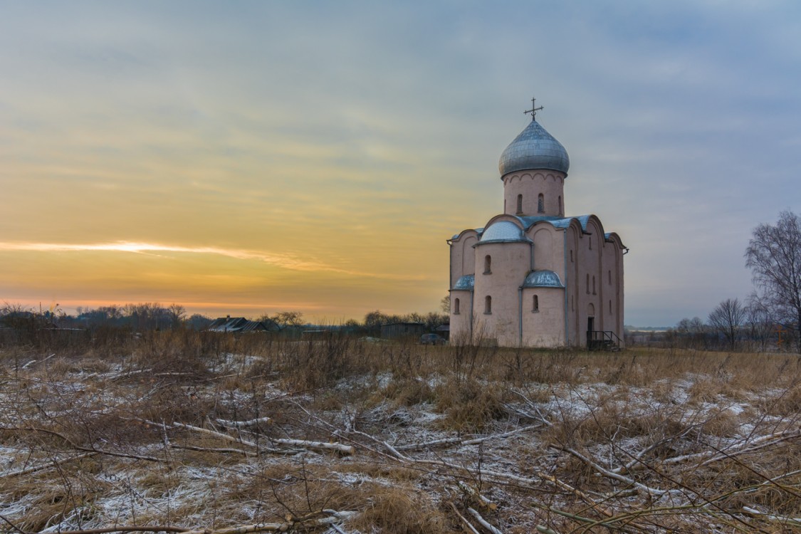 Спас-Нередицы. Церковь Спаса Преображения на Нередице. общий вид в ландшафте