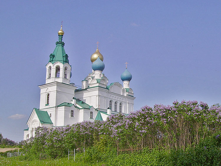 Городня. Церковь Димитрия Солунского. общий вид в ландшафте