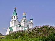 Церковь Димитрия Солунского - Городня - Батецкий район - Новгородская область