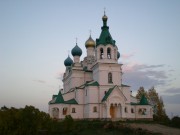 Церковь Димитрия Солунского, , Городня, Батецкий район, Новгородская область