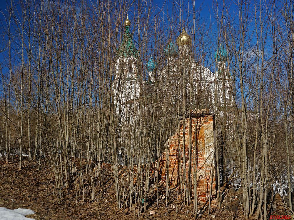 Церковь Димитрия Солунского, Городня (Батецкий район, Новгородская область). дополнительная информация, Фрагмент ограды