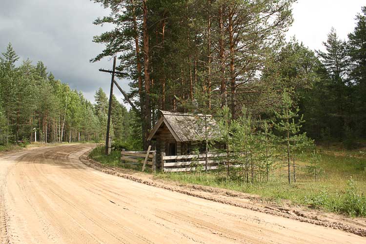 Часовня Кирика и Иулитты, Филипповская (Почозеро) (Плесецкий район, Архангельская область). общий вид в ландшафте