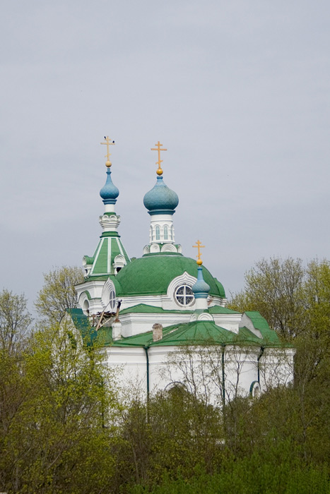 Церковь Воскресения Христова, Голубково (Петровский погост) (Лужский район, Ленинградская область). общий вид в ландшафте, Вид с дороги
