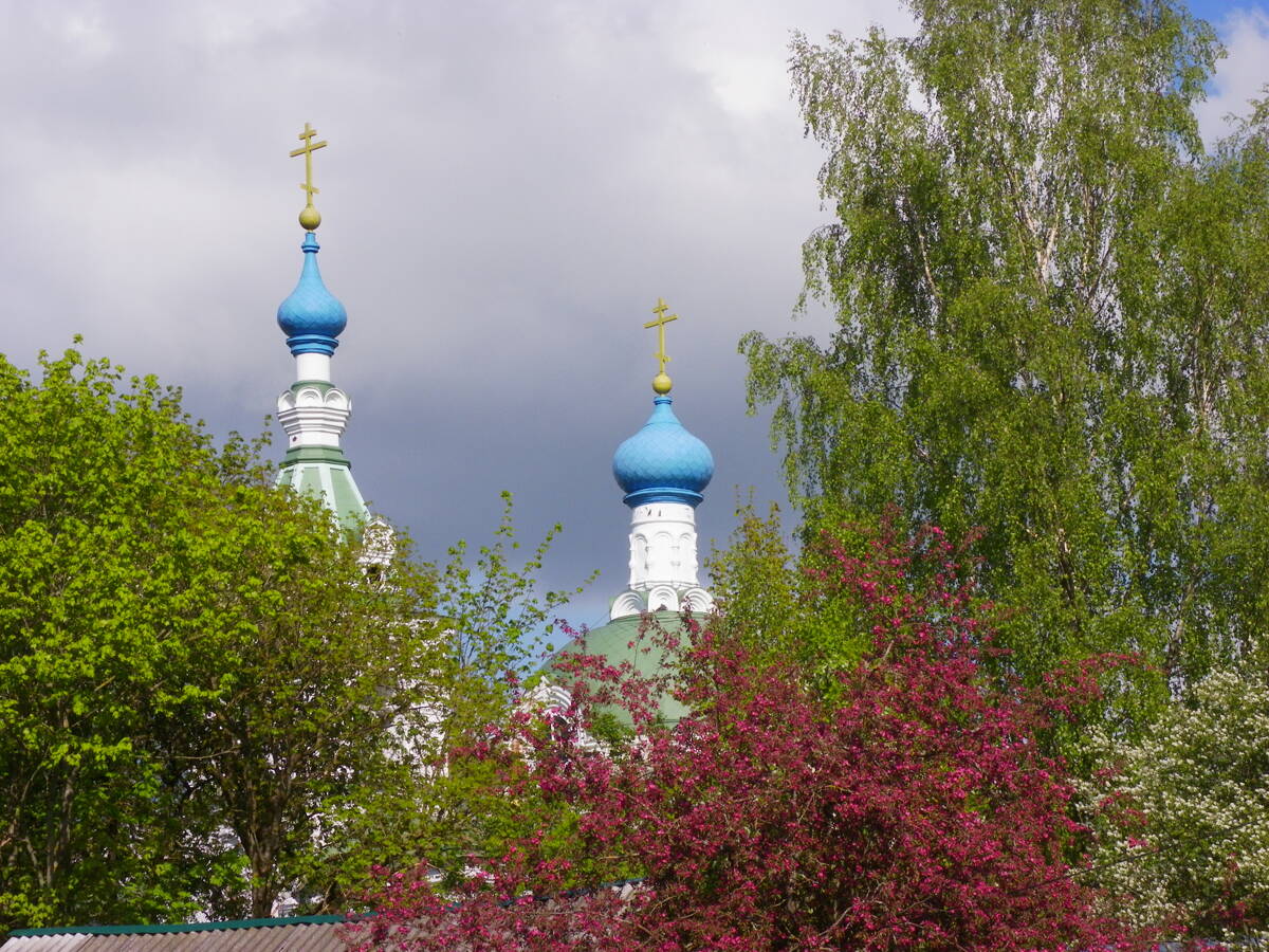 Церковь Воскресения Христова, Голубково (Петровский погост) (Лужский район, Ленинградская область). архитектурные детали