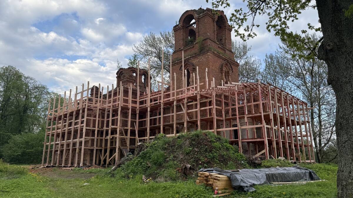 Церковь Покрова Пресвятой Богородицы, Вычелобок (Лужский район, Ленинградская область). общий вид в ландшафте
