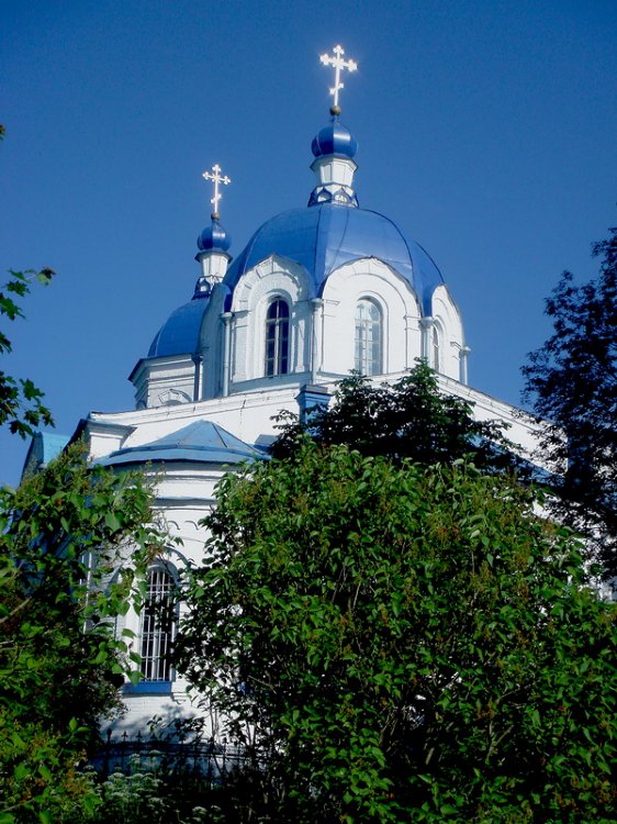 Церковь Воздвижения Креста Господня, Ополье (Кингисеппский район, Ленинградская область). архитектурные детали