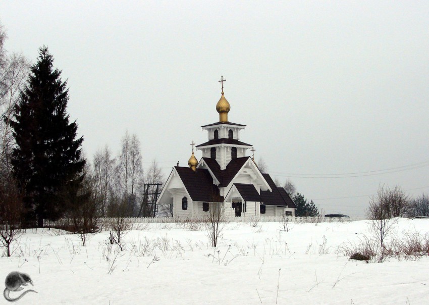 Церковь Покрова Пресвятой Богородицы, Кондратьево (Выборгский район, Ленинградская область). общий вид в ландшафте