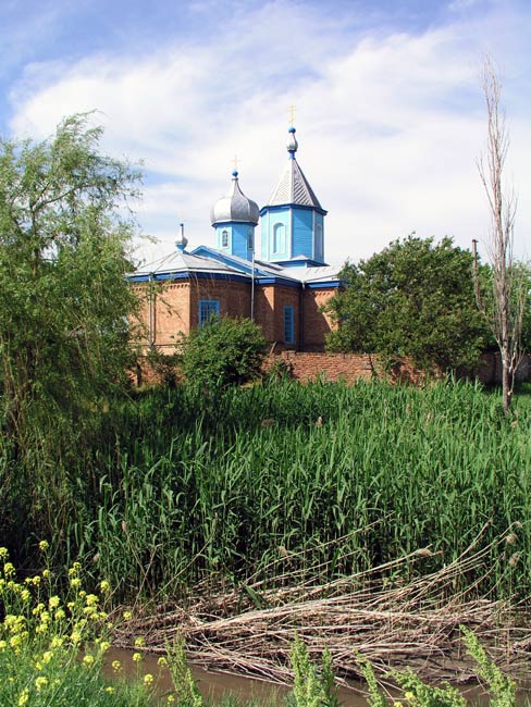 Донское. Церковь Троицы Живоначальной. общий вид в ландшафте