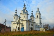 Церковь Троицы Живоначальной - Новое - Большесельский район - Ярославская область