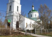 Церковь Василия Великого, Вид с юго-запада<br>, Борисовское, Суздальский район, Владимирская область