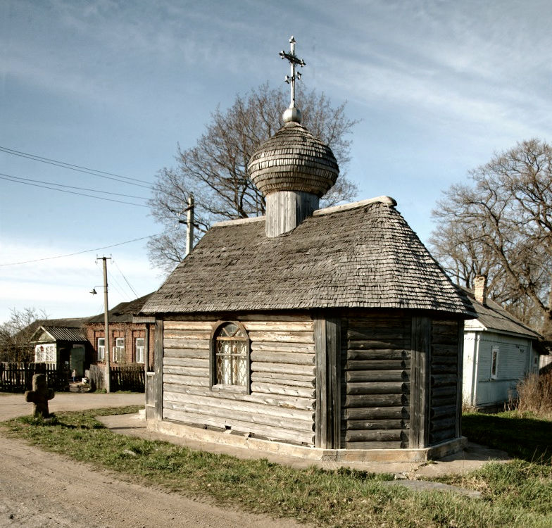 Часовня Ольги равноапостольной, Кануновщина (Гдовский район, Псковская область). общий вид в ландшафте