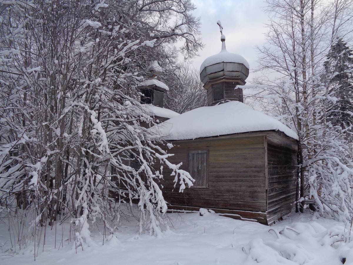 фасады. Неизвестная часовня, Вольные Кусони (Батецкий район, Новгородская область)