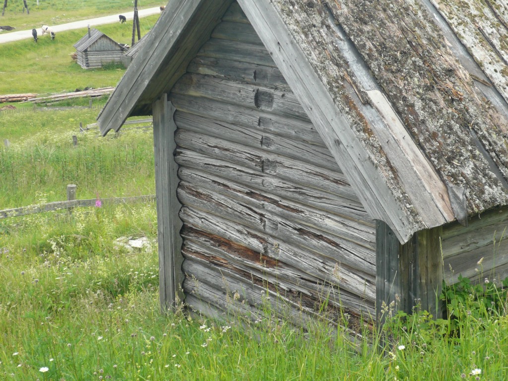 Часовня Иоанна Богослова, Шишкина (Плесецкий район, Архангельская область). фасады