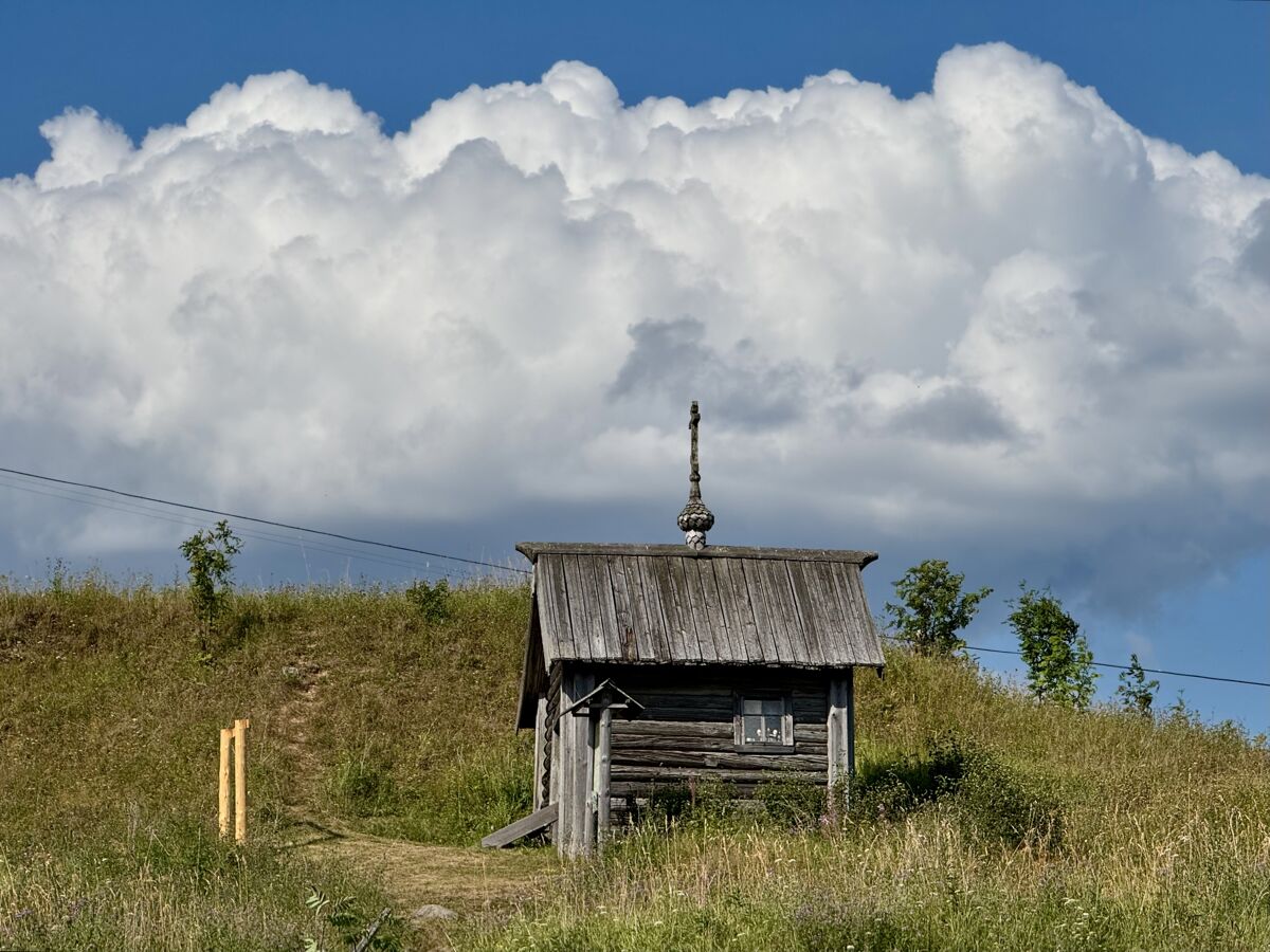 Часовня Иоанна Богослова, Шишкина (Плесецкий район, Архангельская область). общий вид в ландшафте, Вид с юга
