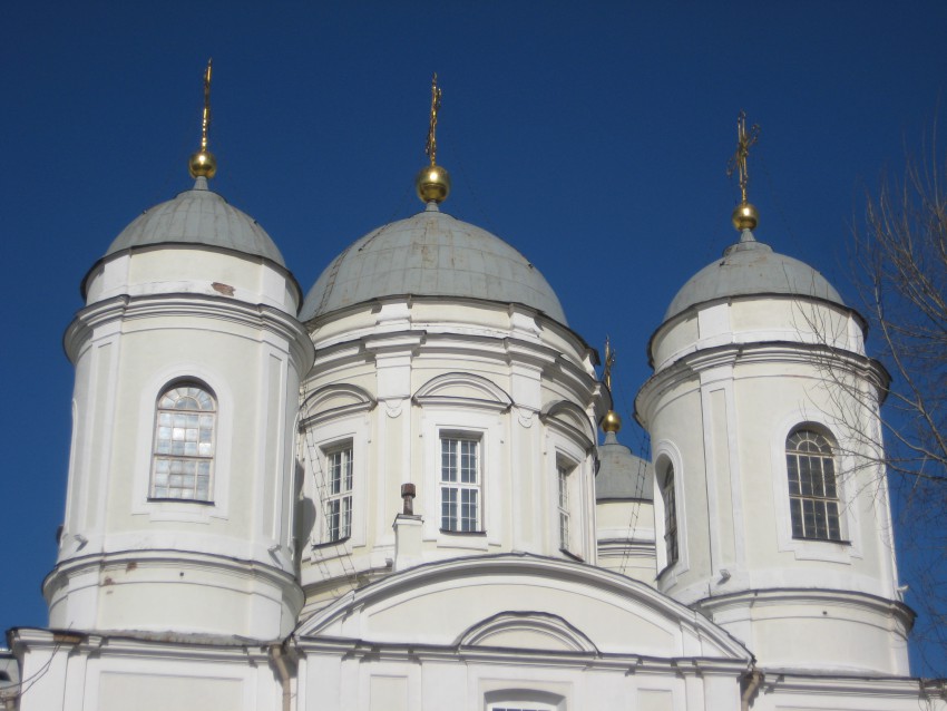 Собор Владимира равноапостольного, Петроградский район (Санкт-Петербург, г. Санкт-Петербург). архитектурные детали