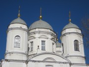 Собор Владимира равноапостольного, , Санкт-Петербург, Санкт-Петербург, г. Санкт-Петербург