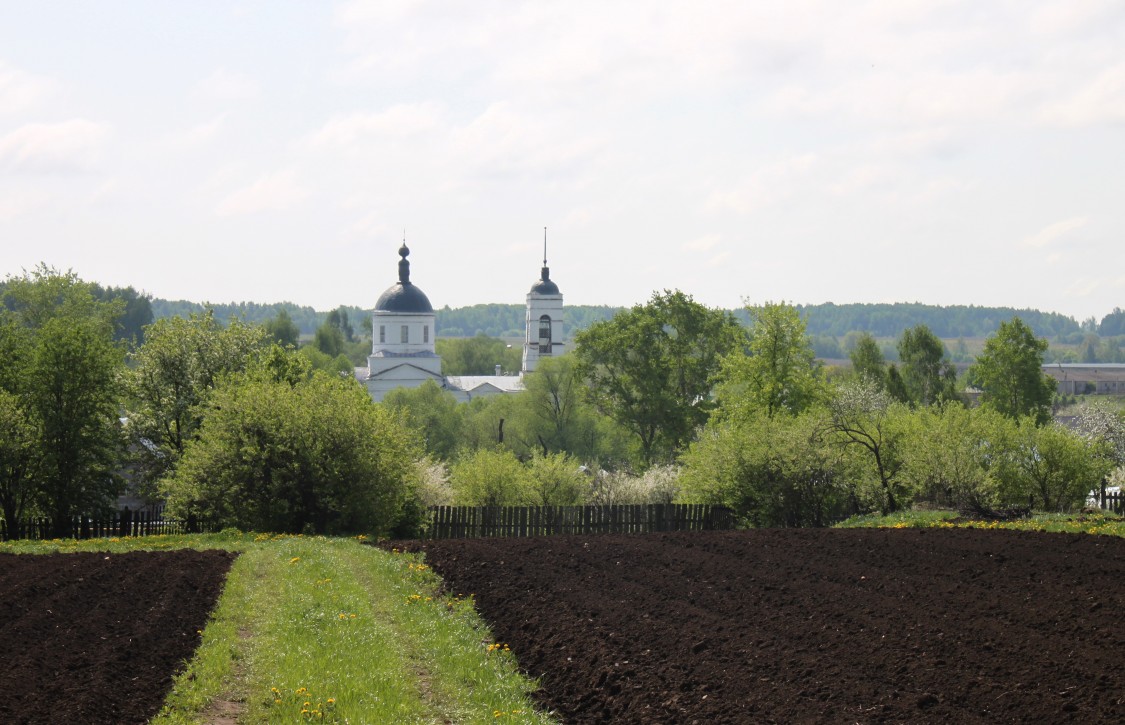 Церковь Николая Чудотворца, Кутуково (Суздальский район, Владимирская область). общий вид в ландшафте, Вид с севера