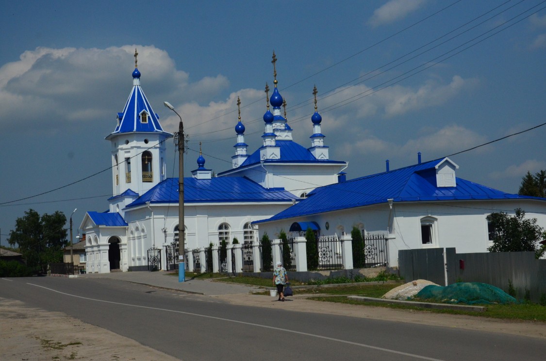 Церковь Рождества Пресвятой Богородицы, Перемышль (Перемышльский район, Калужская область). общий вид в ландшафте