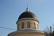 Церковь Петра и Павла, Купол, Тула, Тула, город, Тульская область