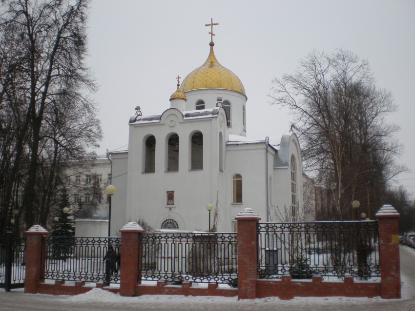 Тула. Церковь Алексия, митрополита Московского. общий вид в ландшафте