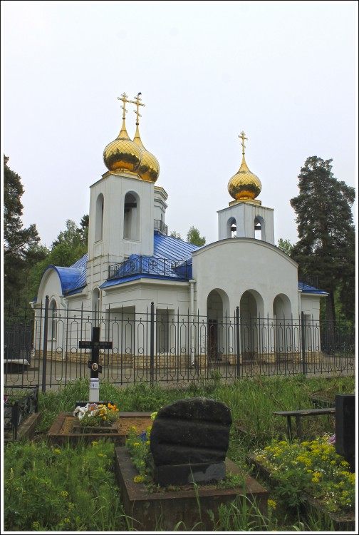 Выборгский район. Церковь Успения Пресвятой Богородицы. общий вид в ландшафте