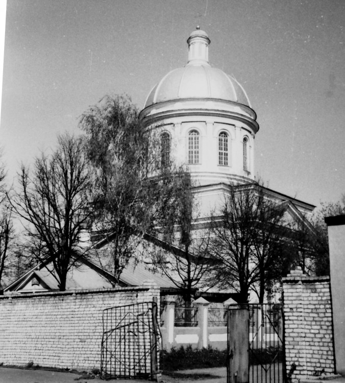 Церковь Троицы Живоначальной, Озёры (Озёрский городской округ, Московская область). фасады