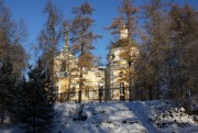 Льялово. Рождества Пресвятой Богородицы, церковь