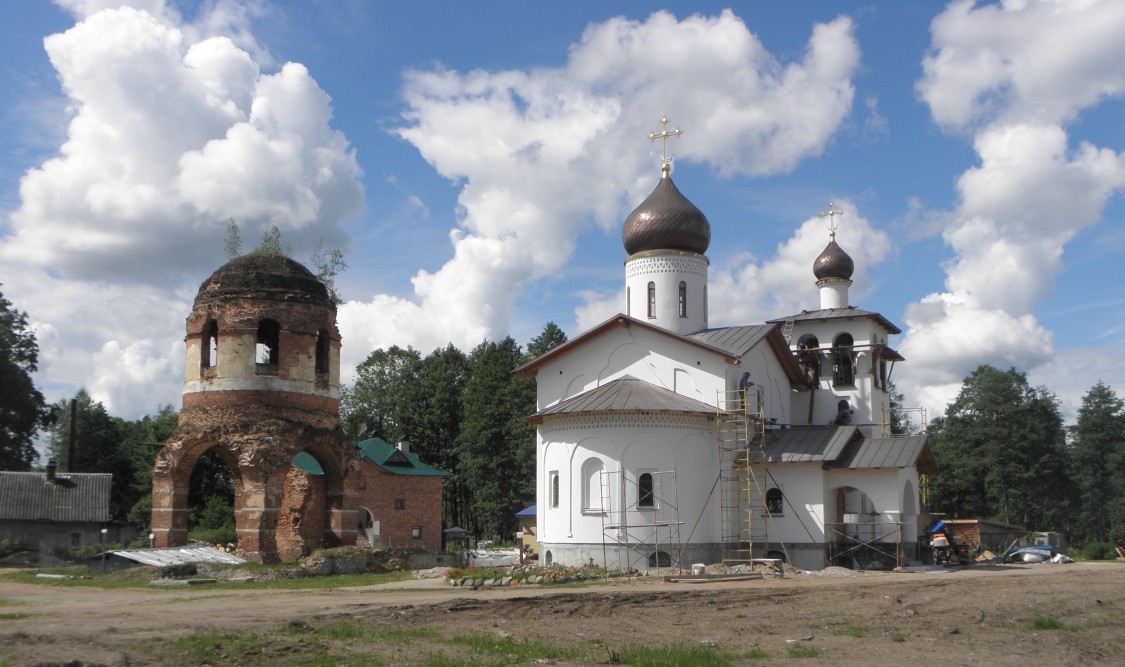 Церковь Успения Пресвятой Богородицы (старая), Феофилова Пустынь (Николаево) (Струго-Красненский район, Псковская область). общий вид в ландшафте