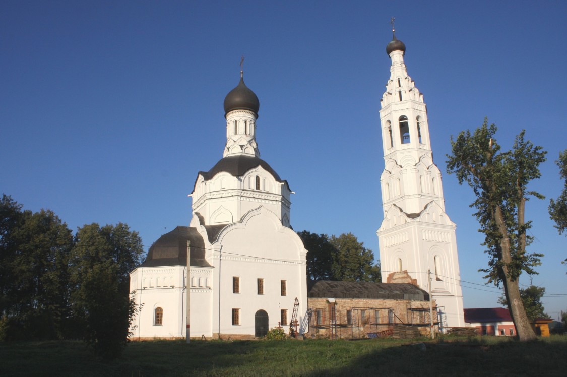 Липицы. Церковь Благовещения Пресвятой Богородицы. общий вид в ландшафте