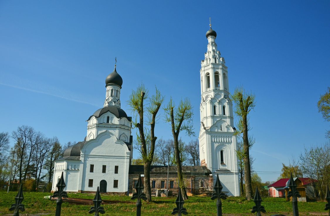 Липицы. Церковь Благовещения Пресвятой Богородицы. общий вид в ландшафте