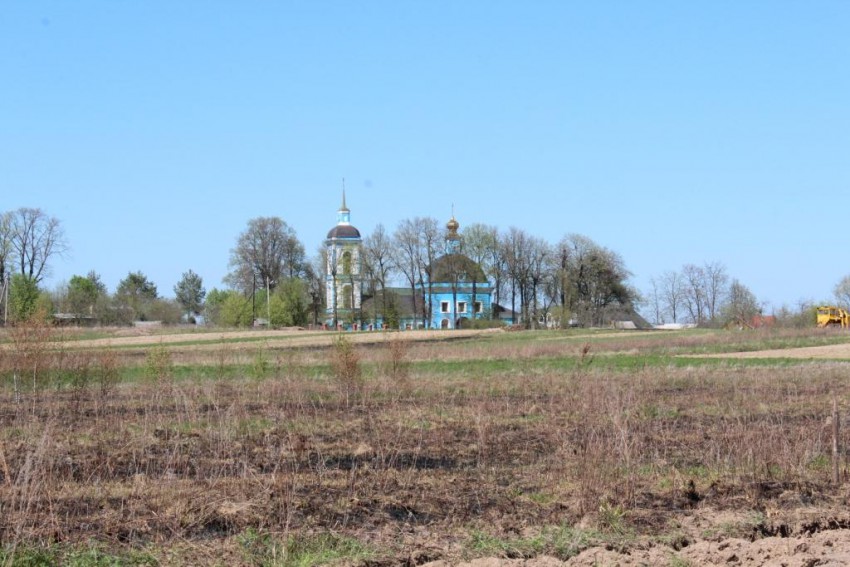 Барятино. Богородицерождественская девичья пустынь. дополнительная информация, Вид с юга