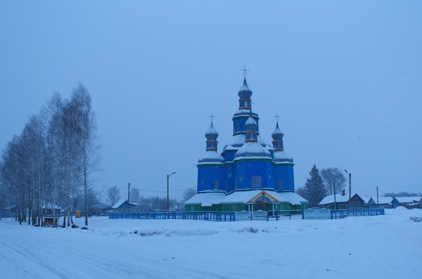 Церковь Николая Чудотворца, Новый Ропск (Климовский район, Брянская область). общий вид в ландшафте, Вид с северо-запада; хорошо заметны итоги расчистки прихрамовой территории от деревьев