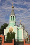 Новозыбков. Троицы Живоначальной, церковь
