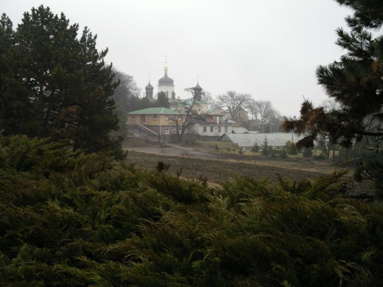 Троицкий Ионин монастырь, Зверинец (Печерский район, Украина, г. Киев). общий вид в ландшафте