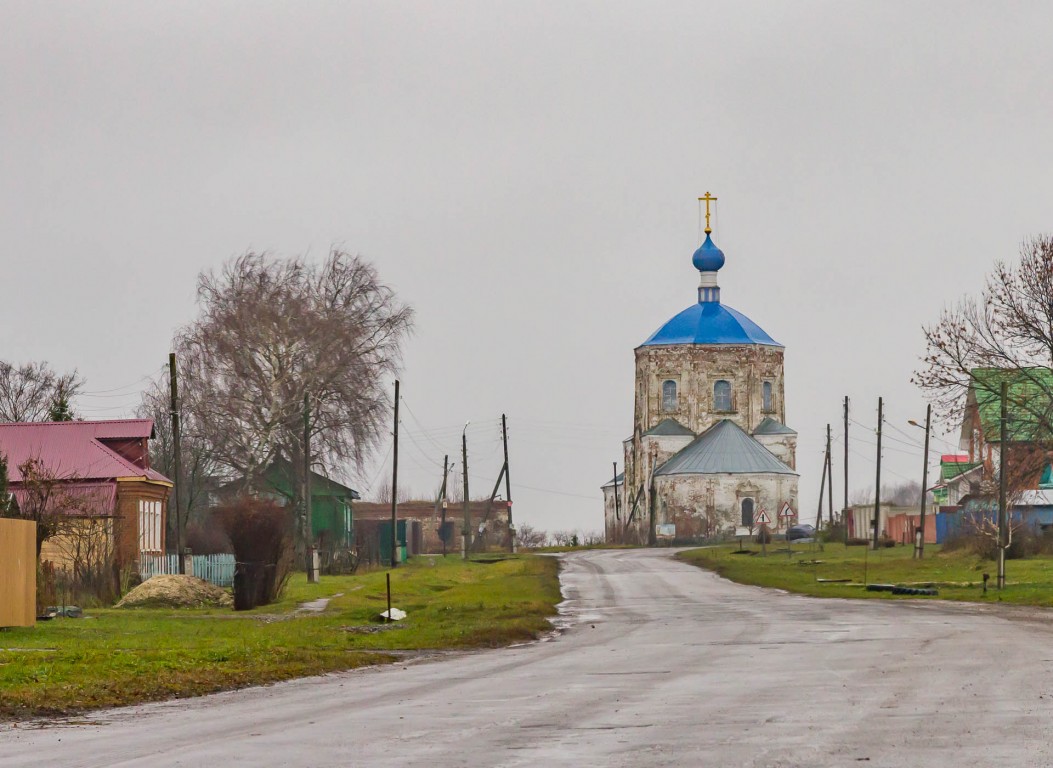 Янево. Церковь Казанской иконы Божией Матери. общий вид в ландшафте