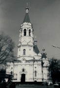 Собор Александра Невского - Егорьевск - Егорьевский городской округ - Московская область