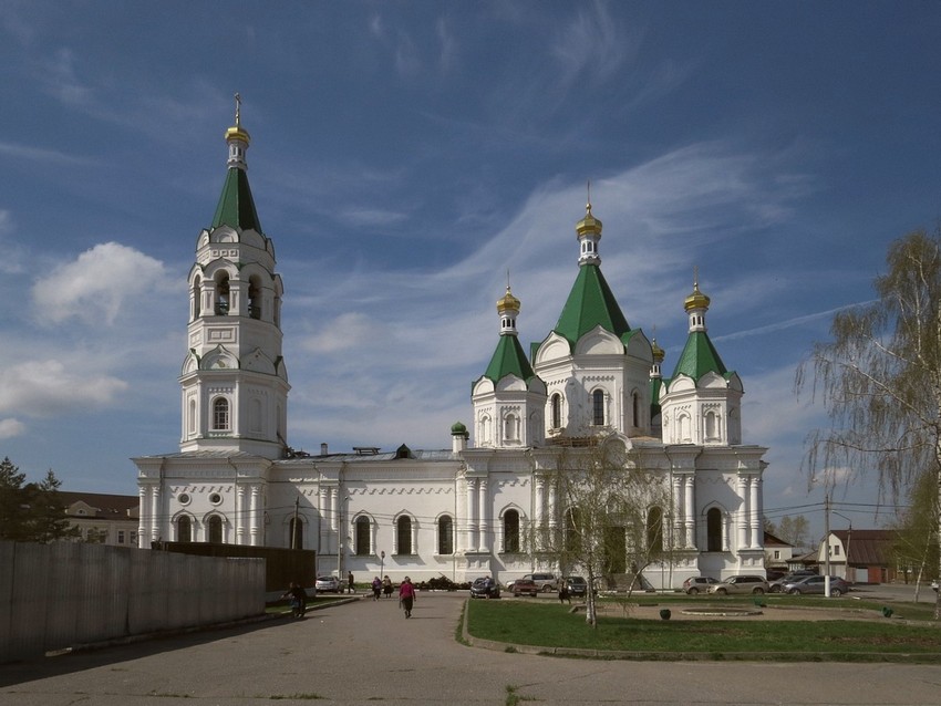 Егорьевск. Собор Александра Невского. общий вид в ландшафте