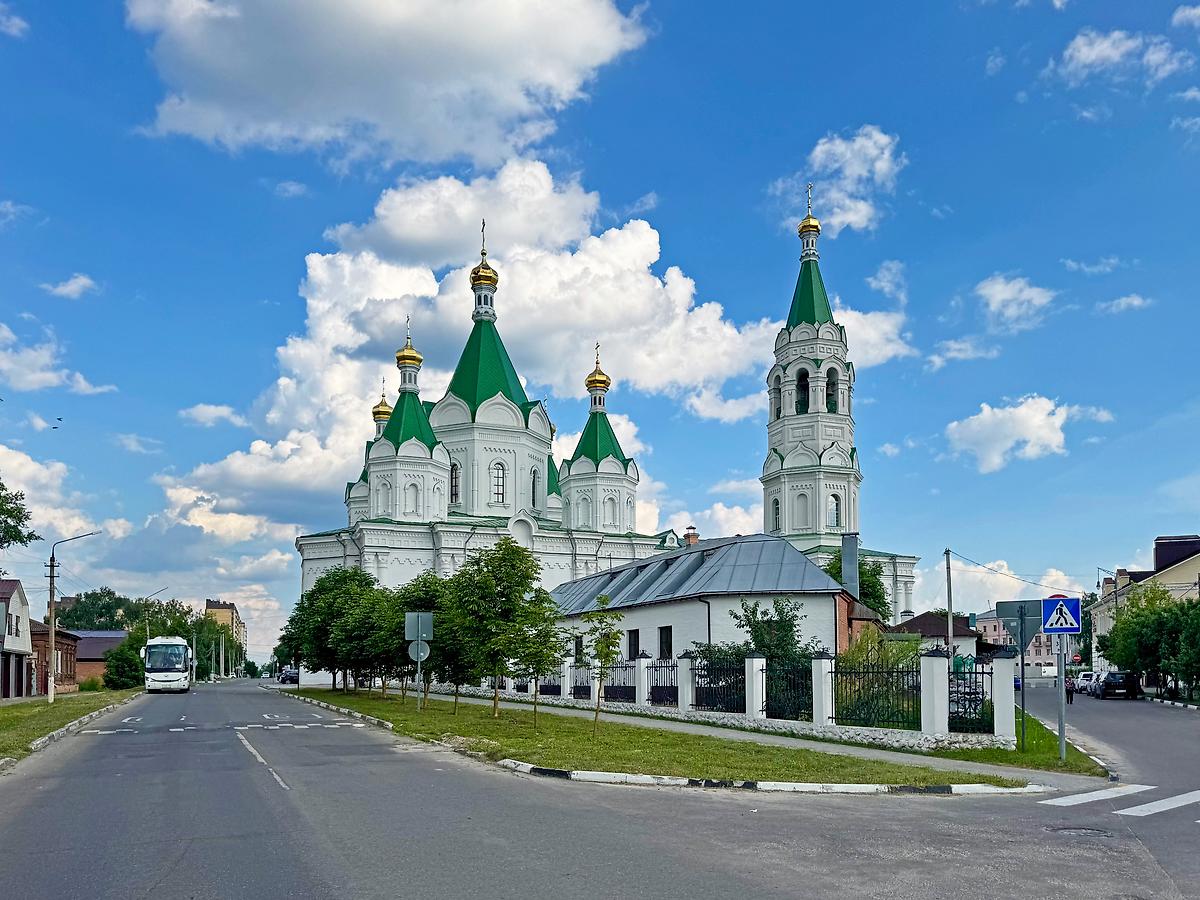 Вид с севера, общий вид в ландшафте. Собор Александра Невского, Егорьевск (Егорьевский городской округ, Московская область)