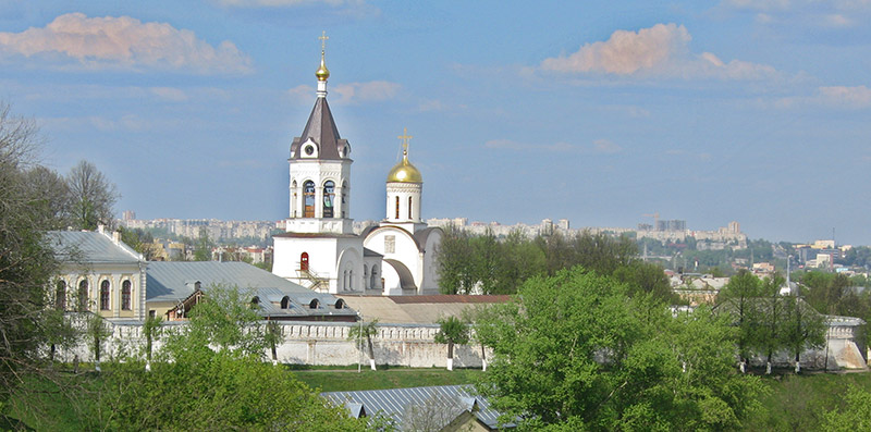 Владимир. Богородице-Рождественский мужской монастырь. общий вид в ландшафте