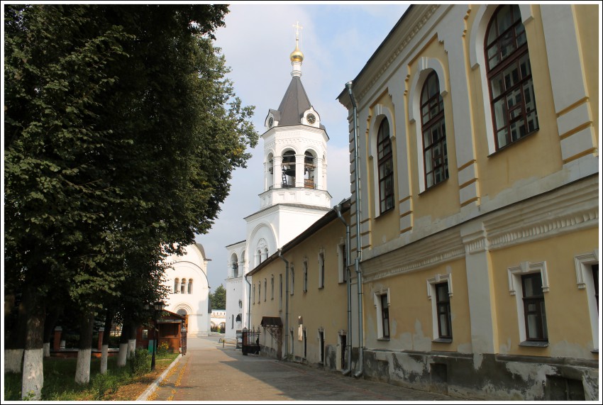 Владимир. Богородице-Рождественский мужской монастырь. фасады